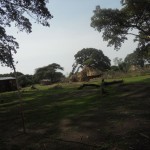 grass huts down country